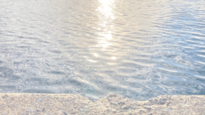 「守る」と「許す」の違い