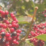 娘が気づいた＂優しさの違い＂と心の成長