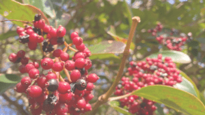 娘が気づいた＂優しさの違い＂と心の成長