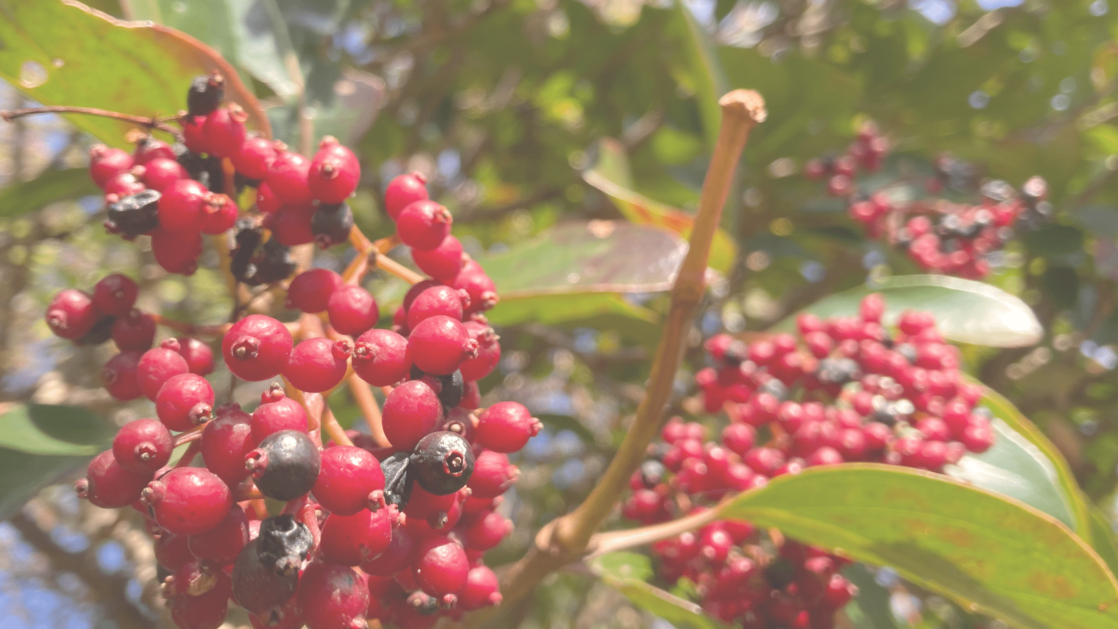 娘が気づいた＂優しさの違い＂と心の成長