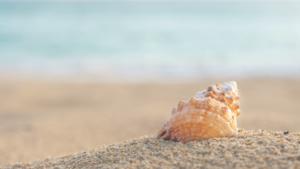 ＨＳＰの殻に戻ってしまう私