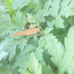 私を私に戻してくれる、心を整える時間