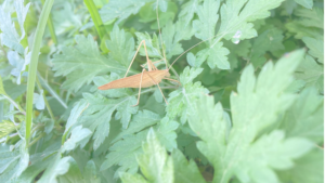 私を私に戻してくれる、心を整える時間