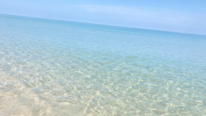 ＨＳＰママが考える「安全地帯」と「境界線」