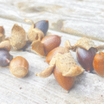 自分軸の芽生えをイメージ