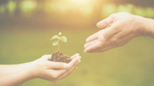 まだ小さいけれど立派な自分軸の芽
