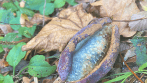 子どもの＂目の下のクマ＂は心のＳＯＳ