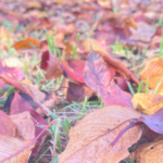 ＂信じる＂と＂守る＂の違い