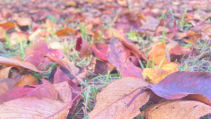 ＂信じる＂と＂守る＂の違い