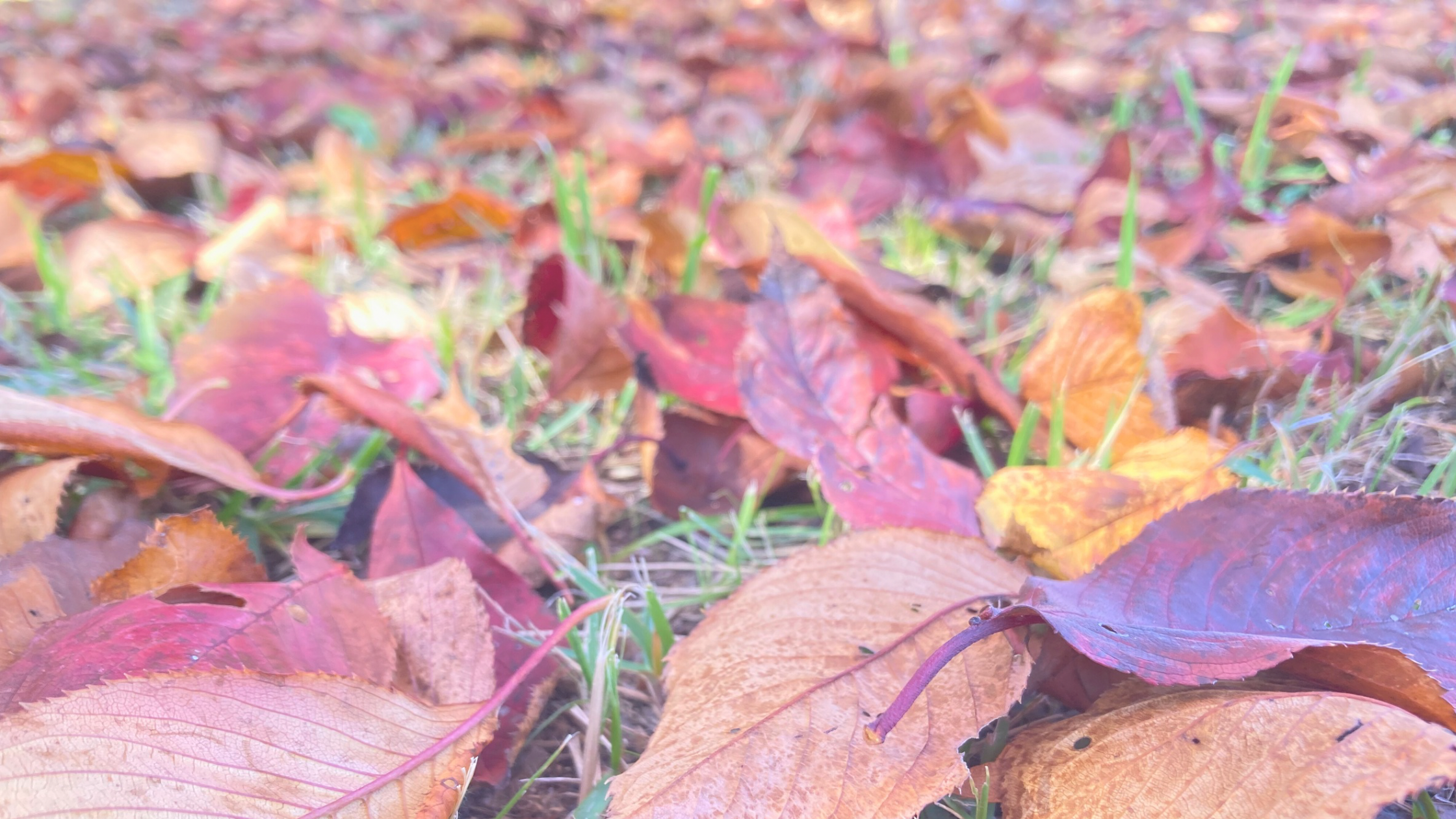 ＂信じる＂と＂守る＂の違い
