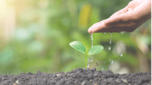 "自分軸の芽"が元気を取り戻した