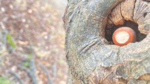 親のいない場所でも安心に