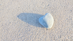 子どもたちの成長の物語