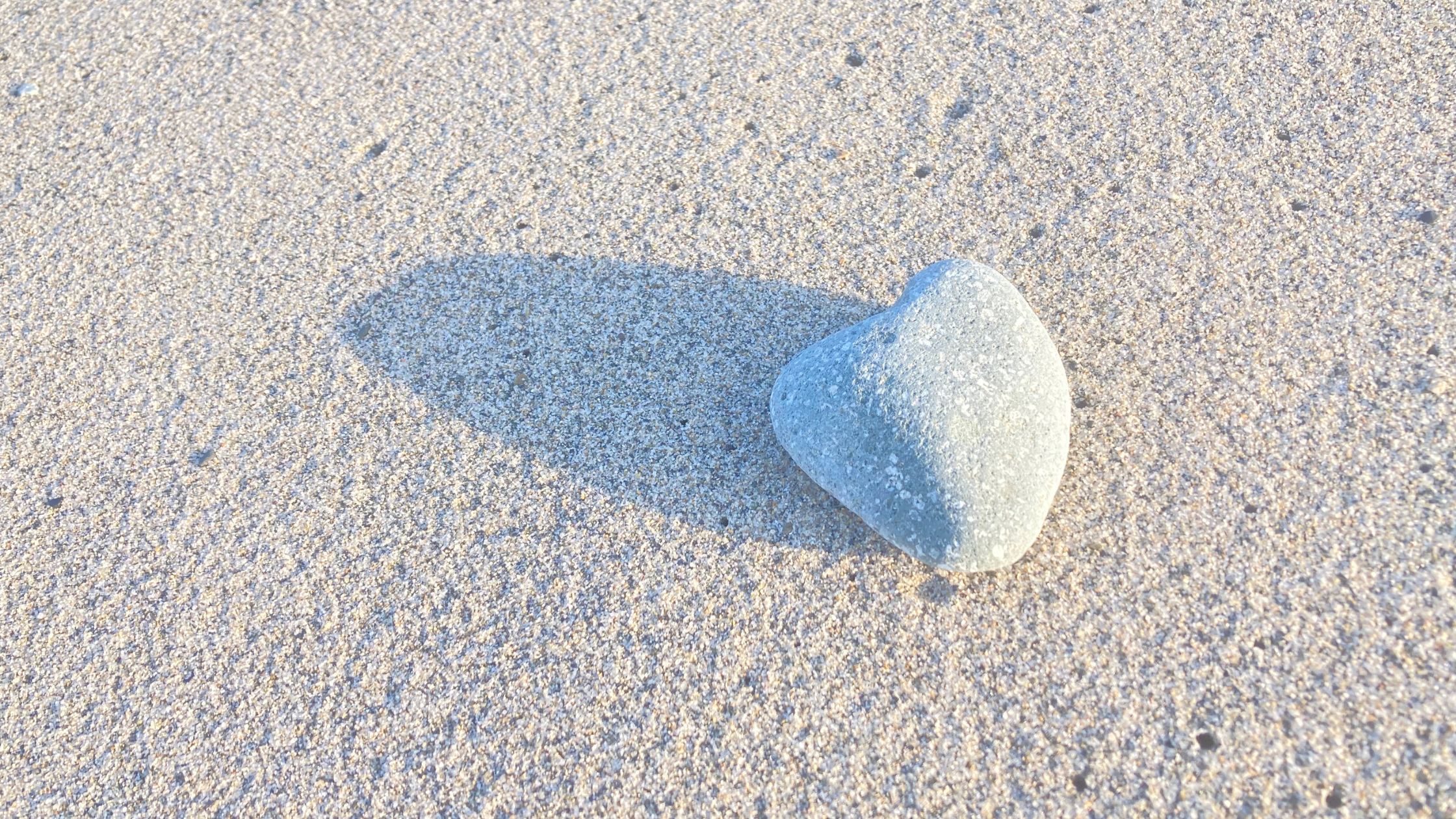 子どもたちの成長の物語