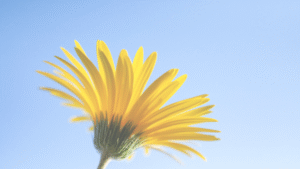 自分の"世界"を過ごす