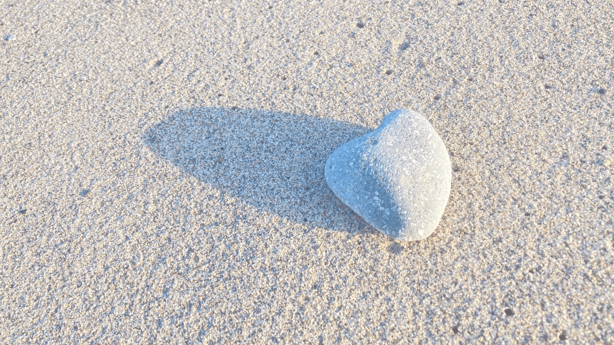 くまの森の楽天ROOM