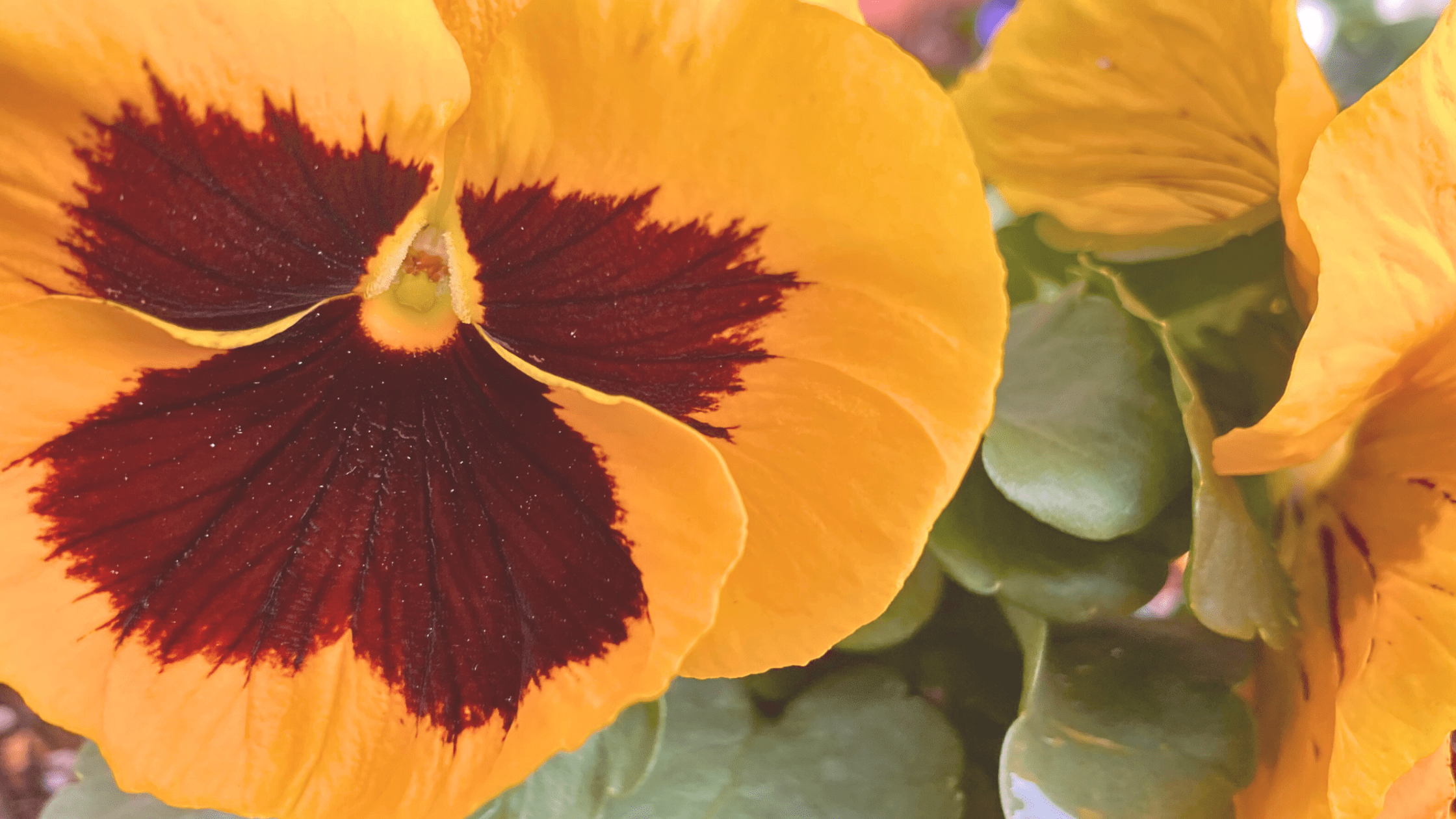 前厄・本厄・後厄を通して人生が切り替わった話