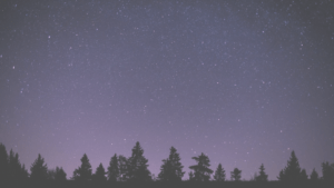 息子にとって大きな１歩