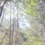 ５歳息子が「嫌」と言った本当の理由