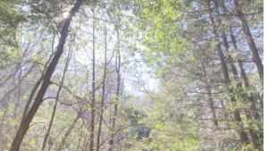 ５歳息子が「嫌」と言った本当の理由