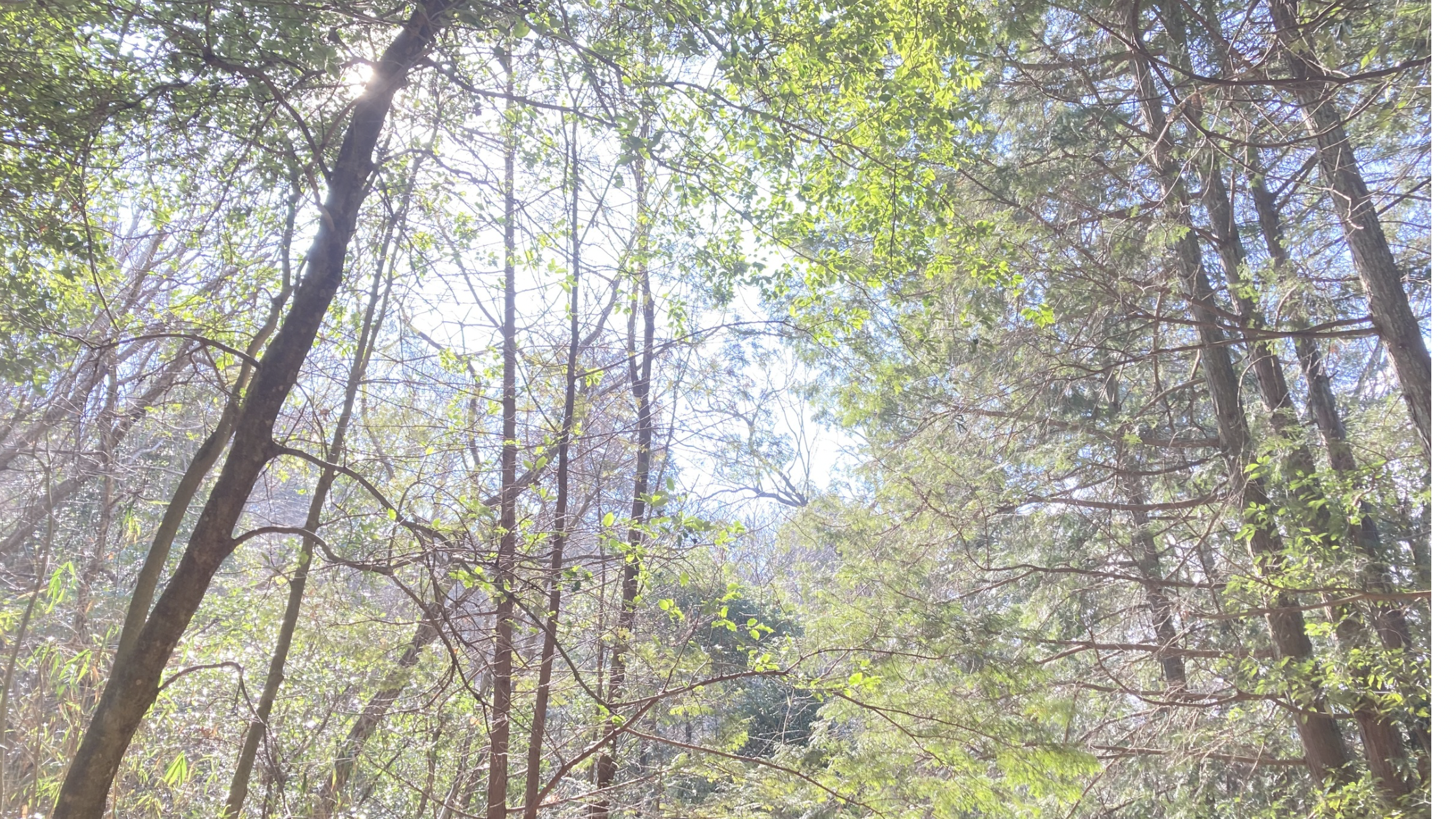 ５歳息子が「嫌」と言った本当の理由