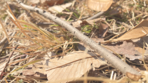 前厄・本厄・後厄を通して人生が切り替わった話